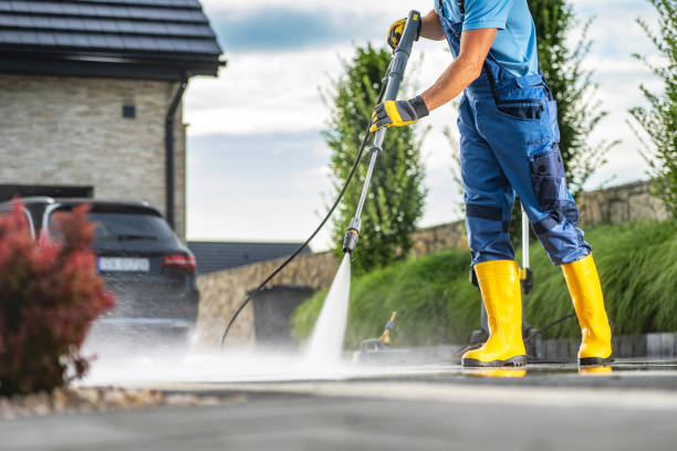 Animal Enclosure Cleaning in Alturas, CA